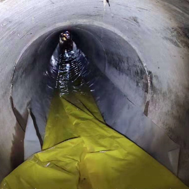 南海管道光固化修复